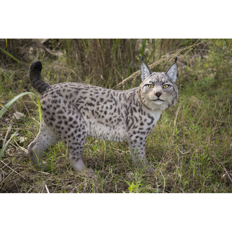 Hi-Line Gift Ltd. Lynx Statue & Reviews - Wayfair Canada